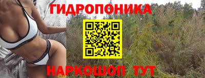 индика Шахты