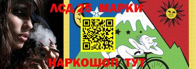 винт Шебекино