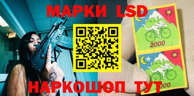 индика Шахты