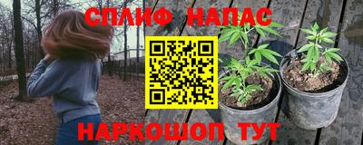 индика Шахты