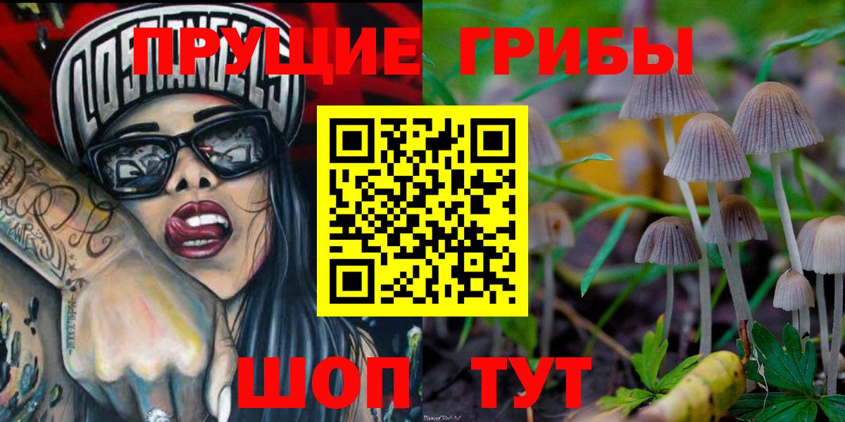 Галлюциногенные грибы Psilocybine cubensis Борисоглебск