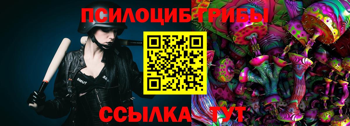 как найти закладки  Вход с VPN  Борисоглебск  Псилоцибиновые грибы MAGIC MUSHROOMS 